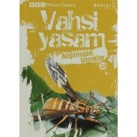 VAHŞI YAŞAM 2 ALIŞILMADIK BÖCEKLER - GENEL