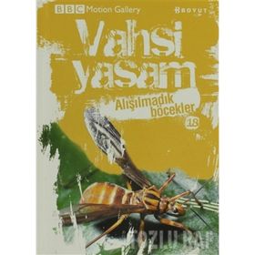 VAHŞI YAŞAM 2 ALIŞILMADIK BÖCEKLER - GENEL