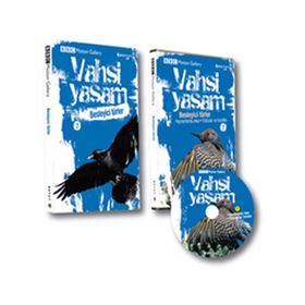 VAHŞI YAŞAM 2 BESLEYICI TÜRLER - GENEL