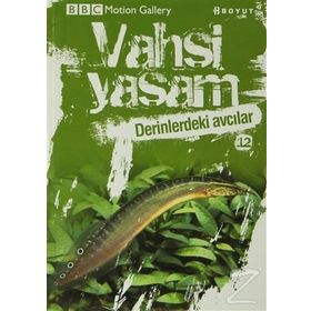 VAHŞI YAŞAM 2 DERINLERDEKI AVCILAR - GENEL