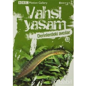 VAHŞI YAŞAM 2 DERINLERDEKI AVCILAR - GENEL