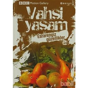 VAHŞI YAŞAM 2 ESRARENGIZ GÜZELLIKLER - GENEL
