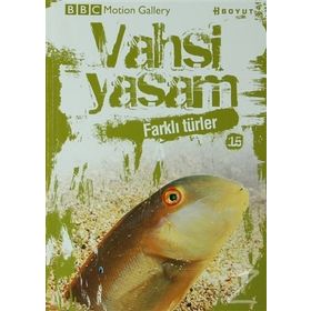 VAHŞI YAŞAM 2 FARKLI TÜRLER - GENEL