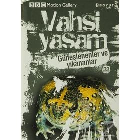 VAHŞI YAŞAM 2 GÜNEŞLENENLER VE YIKANANLAR - GENEL