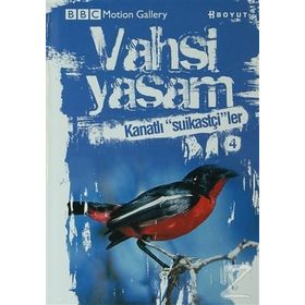 Vahşi Yaşam 2 - Kanatlı Suikastçiler - John Woodward