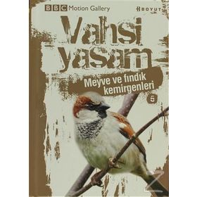 VAHŞI YAŞAM 2 MEYVE VE FINDIK KEMIRGENLERI - GENEL