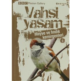 VAHŞI YAŞAM 2 MEYVE VE FINDIK KEMIRGENLERI - GENEL