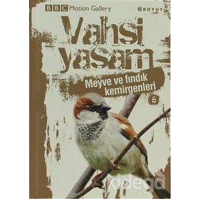 VAHŞI YAŞAM 2 MEYVE VE FINDIK KEMIRGENLERI - GENEL