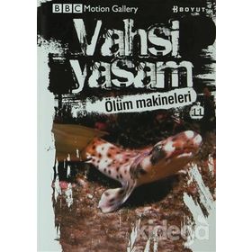 VAHŞI YAŞAM 2 ÖLÜM MAKINELERI - GENEL