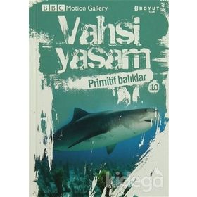 VAHŞI YAŞAM 2 PRIMITIF BALIKLAR - GENEL