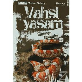 VAHŞİ YAŞAM 2 SÜRÜNEN ETOBURLAR - KOLEKTIF