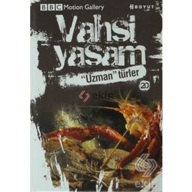 Vahşi Yaşam 2 - Uzman Türler - Amy-Jane Beer Ken Preston