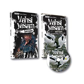 VAHŞI YAŞAM SAHIL KUŞLARI - GENEL