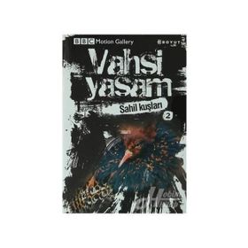 VAHŞI YAŞAM SAHIL KUŞLARI - GENEL
