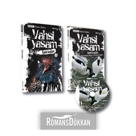 VAHŞI YAŞAM SAHIL KUŞLARI - GENEL