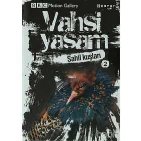 VAHŞI YAŞAM SAHIL KUŞLARI - GENEL