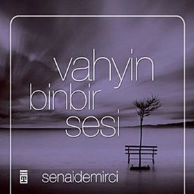 VAHYIN BINBIR SESI - SENAI DEMIRCI