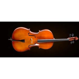 Valencia CE400F34 3-4 Fransız Sistem Çello