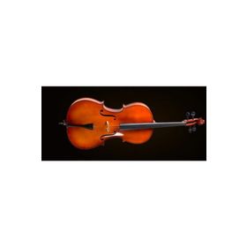 Valencia CE400F44 4-4 Fransız Sistem Çello
