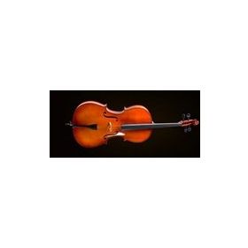 Valencia CE400G 1/2 Çello