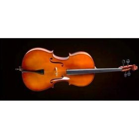 Valencia CE400G 3/4 Çello