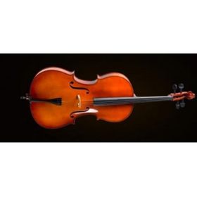Valencia CE400G44 4-4 Alman Sistem Çello