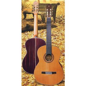 Valencia CGLTD5 Klasik Gitar