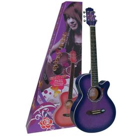 Valencia GRA1KCPP Gypsy Rose Mor Akustik Gitar Set