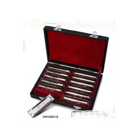 Valencia HM1020-12 12'li Mızıka Set