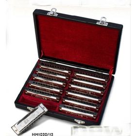 Valencia HM1020-12 12'li Mızıka Set