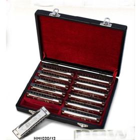 Valencia HM1020-12 12'li Mızıka Set
