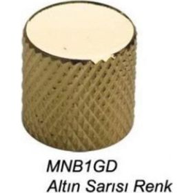 Valencia MNB1GD Gitar Pot Düğme Başlığı