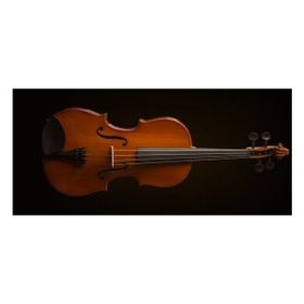Valencia VA16038 Kutulu 15 38 cm Viola