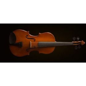 Valencia VA16038 Kutulu 15 38 cm Viola