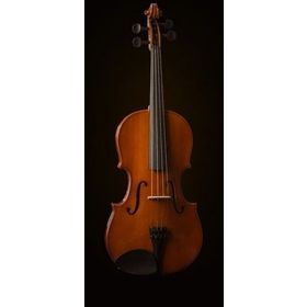 Valencia VA16038 Kutulu 15 38 cm Viola