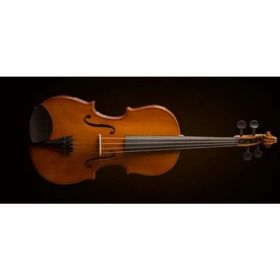 Valencia VA16041 Kutulu 16 40,64 cm Viola