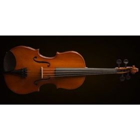 Valencia VA16041 Kutulu 16 40,64 cm Viola