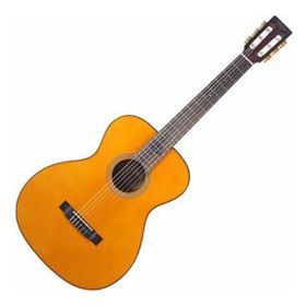 Valencia VA434VNA Klasik Gitar