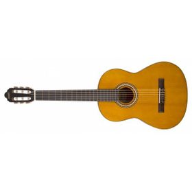 Valencıa VC204L Kılıf ve Penalı Solak Klasik Gitar