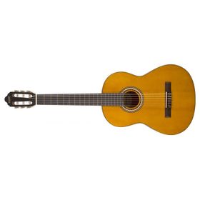 Valencıa VC204L Kılıf ve Penalı Solak Klasik Gitar