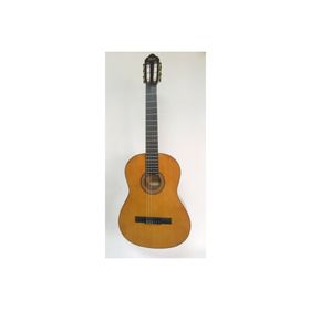 Valencia VC264 Kılıf ve Penalı Klasik Gitar