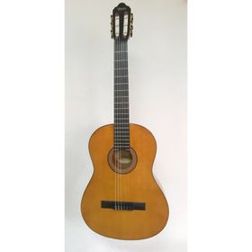 Valencia VC264 Kılıf ve Penalı Klasik Gitar