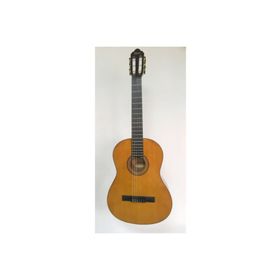 Valencia VC264 Kılıf ve Penalı Klasik Gitar