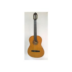 Valencia VC264 Kılıf ve Penalı Klasik Gitar