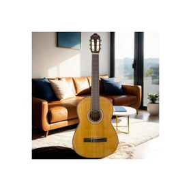 Valencia VC404 Kılıf ve Penalı Klasik Gitar