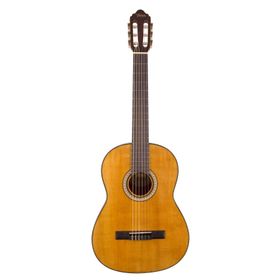 Valencia VC404 Kılıf ve Penalı Klasik Gitar
