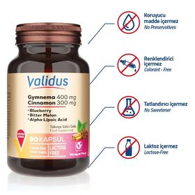 Validus Gymnema Sylvestre 400 mg Cinnamon 300 mg 90 Kapsül