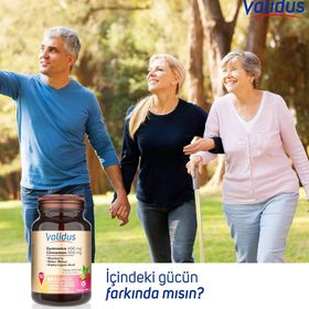 Validus Gymnema Sylvestre 400 mg Cinnamon 300 mg 90 Kapsül