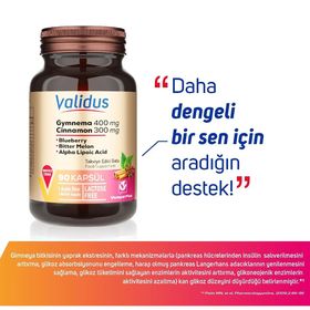 Validus Gymnema Sylvestre 400 mg Cinnamon 300 mg 90 Kapsül