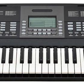 Valler RA160 61 Tuş 5 Oktav Org